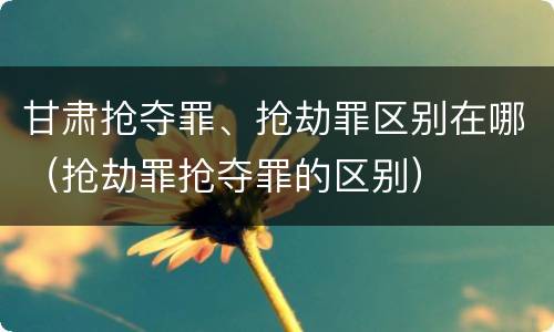 甘肃抢夺罪、抢劫罪区别在哪（抢劫罪抢夺罪的区别）