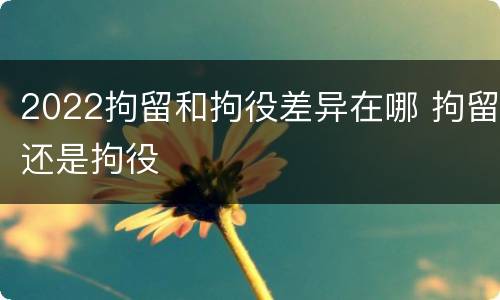 2022拘留和拘役差异在哪 拘留还是拘役