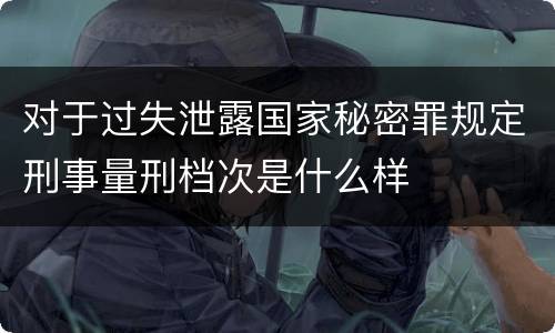 对于过失泄露国家秘密罪规定刑事量刑档次是什么样