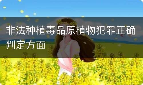 非法种植毒品原植物犯罪正确判定方面