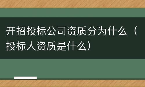 开招投标公司资质分为什么（投标人资质是什么）
