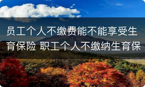 员工个人不缴费能不能享受生育保险 职工个人不缴纳生育保险费