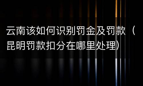 云南该如何识别罚金及罚款（昆明罚款扣分在哪里处理）