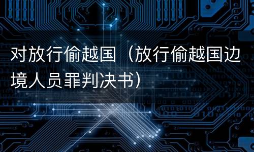 对放行偷越国（放行偷越国边境人员罪判决书）