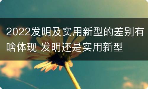 2022发明及实用新型的差别有啥体现 发明还是实用新型