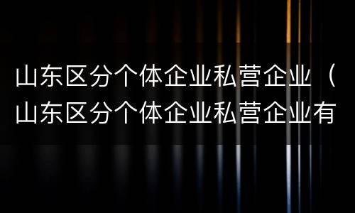 山东区分个体企业私营企业（山东区分个体企业私营企业有多少）