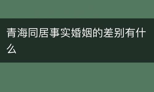 青海同居事实婚姻的差别有什么