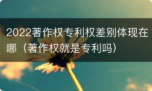 2022著作权专利权差别体现在哪（著作权就是专利吗）