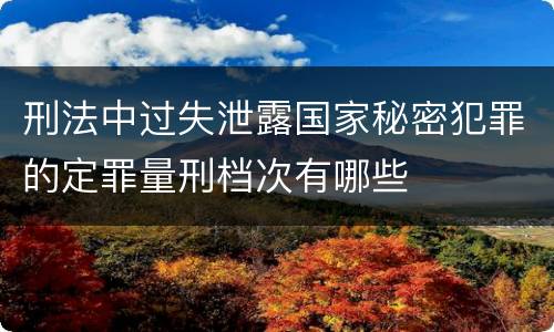 刑法中过失泄露国家秘密犯罪的定罪量刑档次有哪些