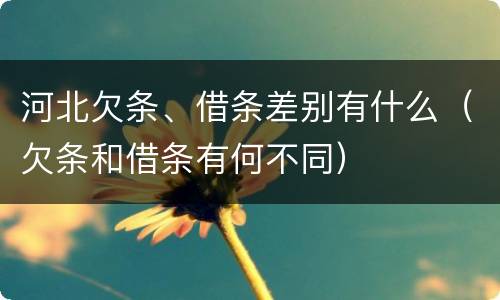 河北欠条、借条差别有什么（欠条和借条有何不同）