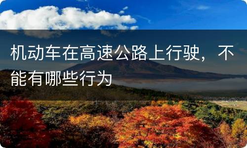 机动车在高速公路上行驶，不能有哪些行为