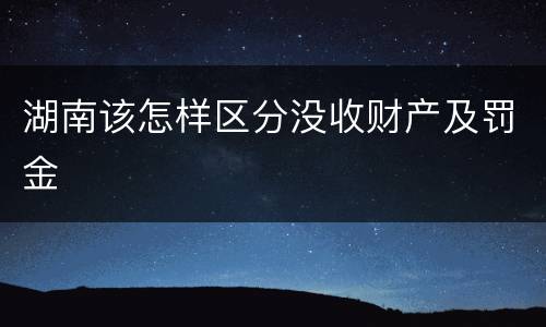 湖南该怎样区分没收财产及罚金