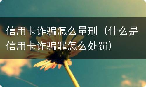 信用卡诈骗怎么量刑（什么是信用卡诈骗罪怎么处罚）