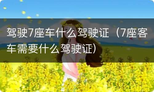驾驶7座车什么驾驶证（7座客车需要什么驾驶证）