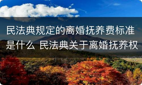 民法典规定的离婚抚养费标准是什么 民法典关于离婚抚养权的规定