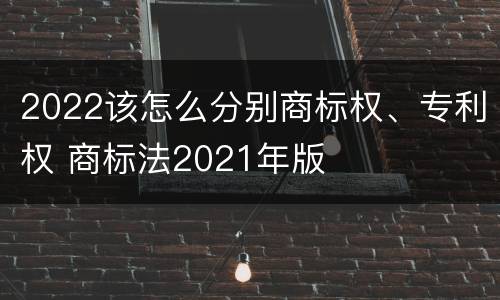 2022该怎么分别商标权、专利权 商标法2021年版