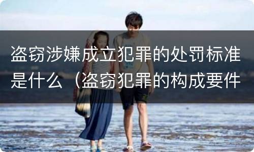 盗窃涉嫌成立犯罪的处罚标准是什么（盗窃犯罪的构成要件）
