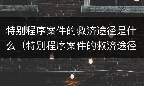 特别程序案件的救济途径是什么（特别程序案件的救济途径是什么）