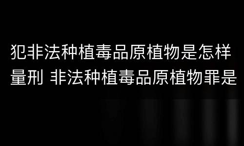 犯非法种植毒品原植物是怎样量刑 非法种植毒品原植物罪是什么犯罪类型