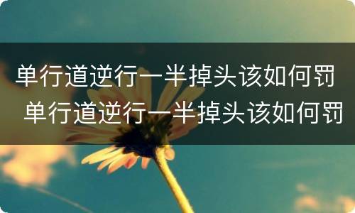 单行道逆行一半掉头该如何罚 单行道逆行一半掉头该如何罚款