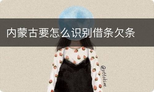 内蒙古要怎么识别借条欠条