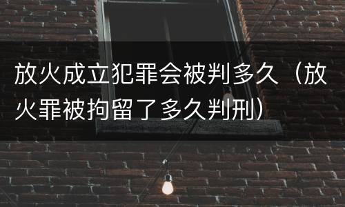 放火成立犯罪会被判多久（放火罪被拘留了多久判刑）