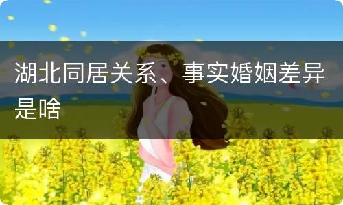 湖北同居关系、事实婚姻差异是啥