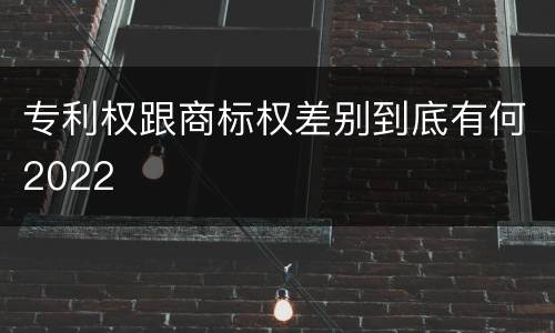专利权跟商标权差别到底有何2022