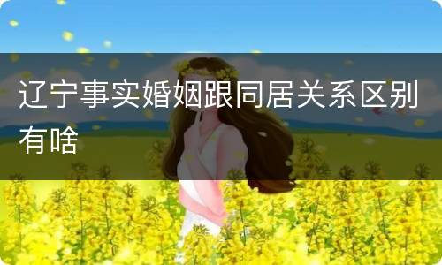 辽宁事实婚姻跟同居关系区别有啥