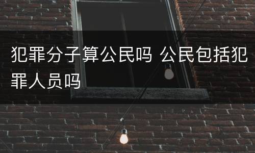 犯罪分子算公民吗 公民包括犯罪人员吗
