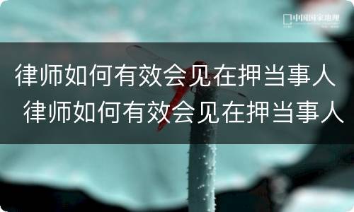 律师如何有效会见在押当事人 律师如何有效会见在押当事人的人