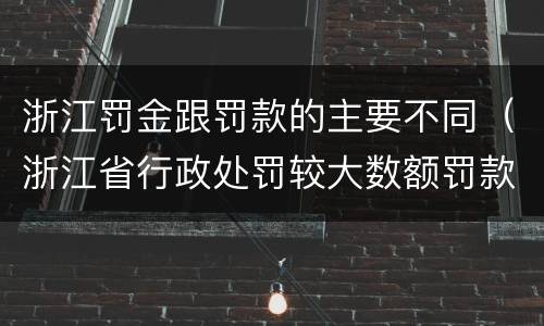 浙江罚金跟罚款的主要不同（浙江省行政处罚较大数额罚款怎么界定）