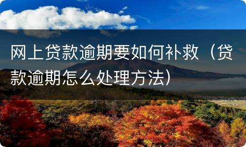 网上贷款逾期要如何补救（贷款逾期怎么处理方法）