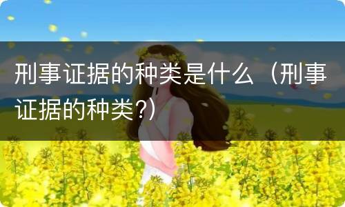 刑事证据的种类是什么（刑事证据的种类?）