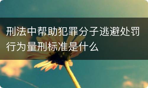 刑法中帮助犯罪分子逃避处罚行为量刑标准是什么