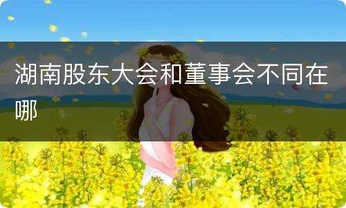 湖南股东大会和董事会不同在哪