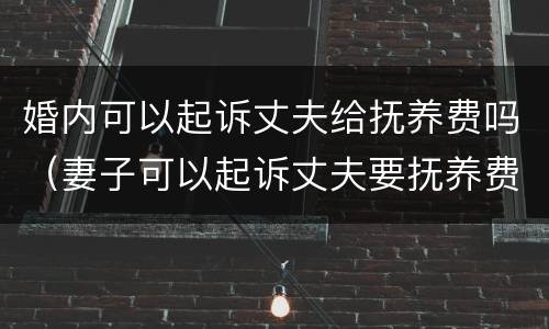 婚内可以起诉丈夫给抚养费吗（妻子可以起诉丈夫要抚养费的条件）