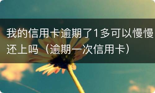 我的信用卡逾期了1多可以慢慢还上吗（逾期一次信用卡）