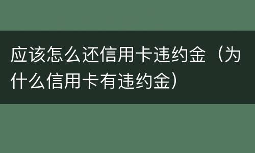 应该怎么还信用卡违约金（为什么信用卡有违约金）