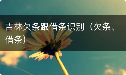 吉林欠条跟借条识别（欠条、借条）