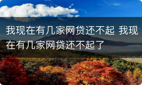 我现在有几家网贷还不起 我现在有几家网贷还不起了