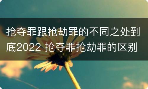 抢夺罪跟抢劫罪的不同之处到底2022 抢夺罪抢劫罪的区别