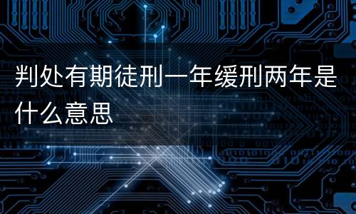 判处有期徒刑一年缓刑两年是什么意思