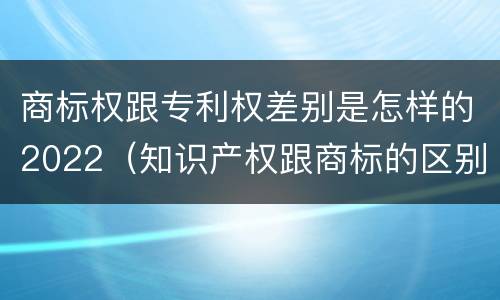 商标权跟专利权差别是怎样的2022（知识产权跟商标的区别）