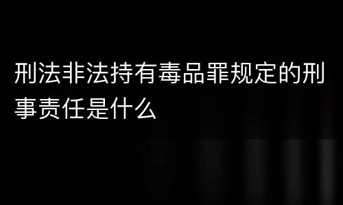 刑法非法持有毒品罪规定的刑事责任是什么