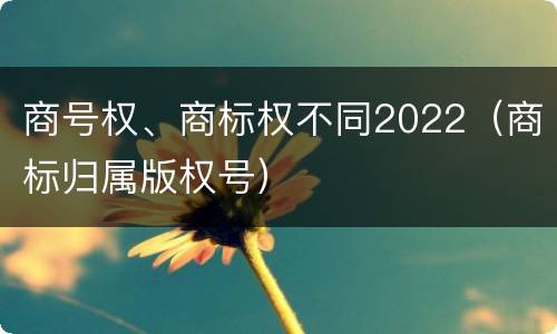 商号权、商标权不同2022（商标归属版权号）