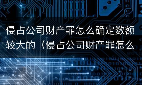 侵占公司财产罪怎么确定数额较大的（侵占公司财产罪怎么确定数额较大的量刑）