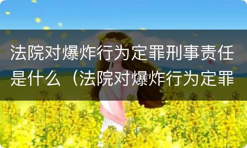 法院对爆炸行为定罪刑事责任是什么（法院对爆炸行为定罪刑事责任是什么处罚）