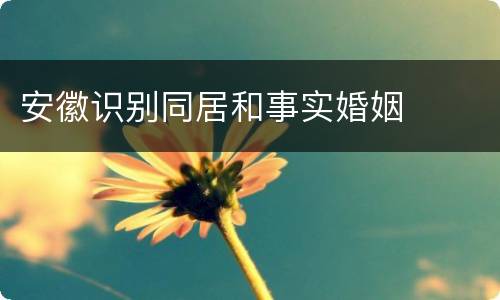 安徽识别同居和事实婚姻