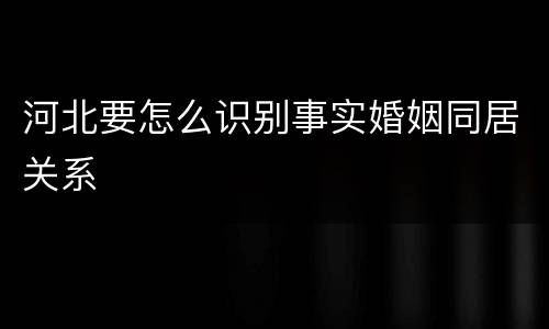 河北要怎么识别事实婚姻同居关系